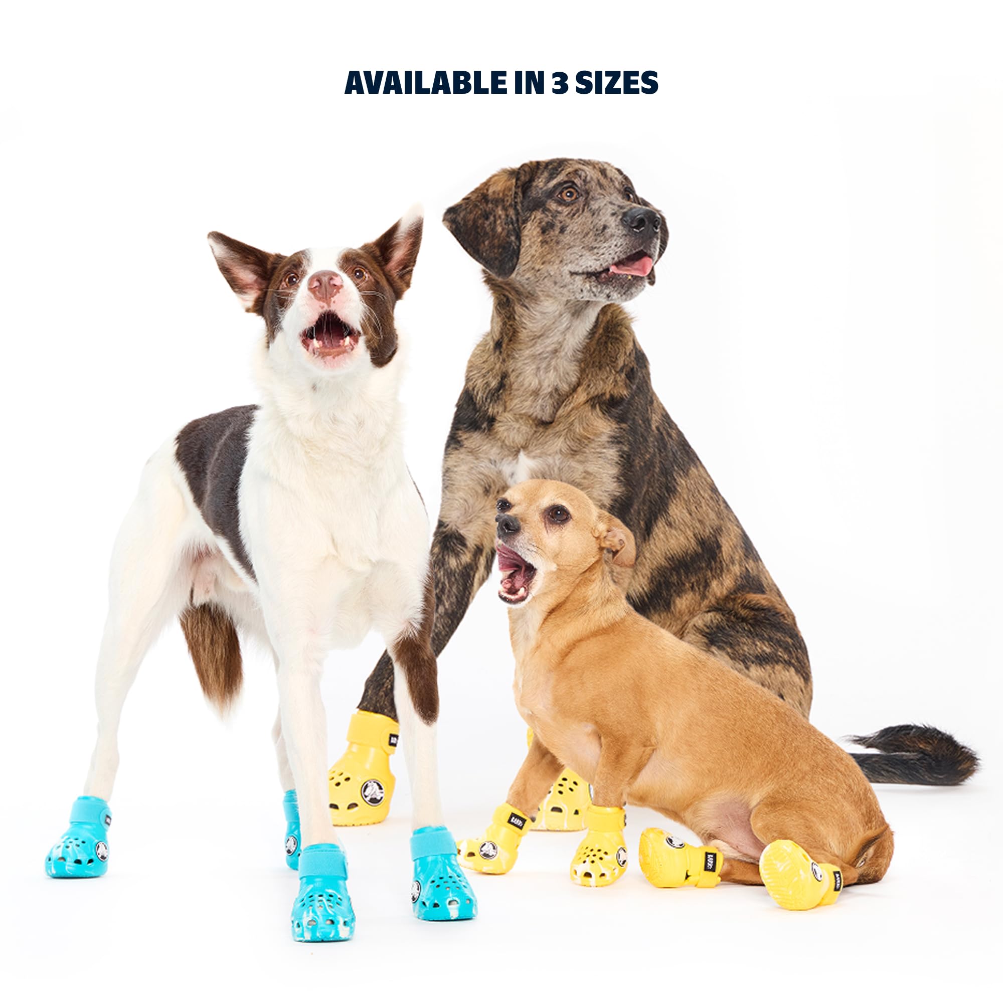 BarkBox bottes Aqua Crocs: ventilation qui garde les pattes sèches et confortables