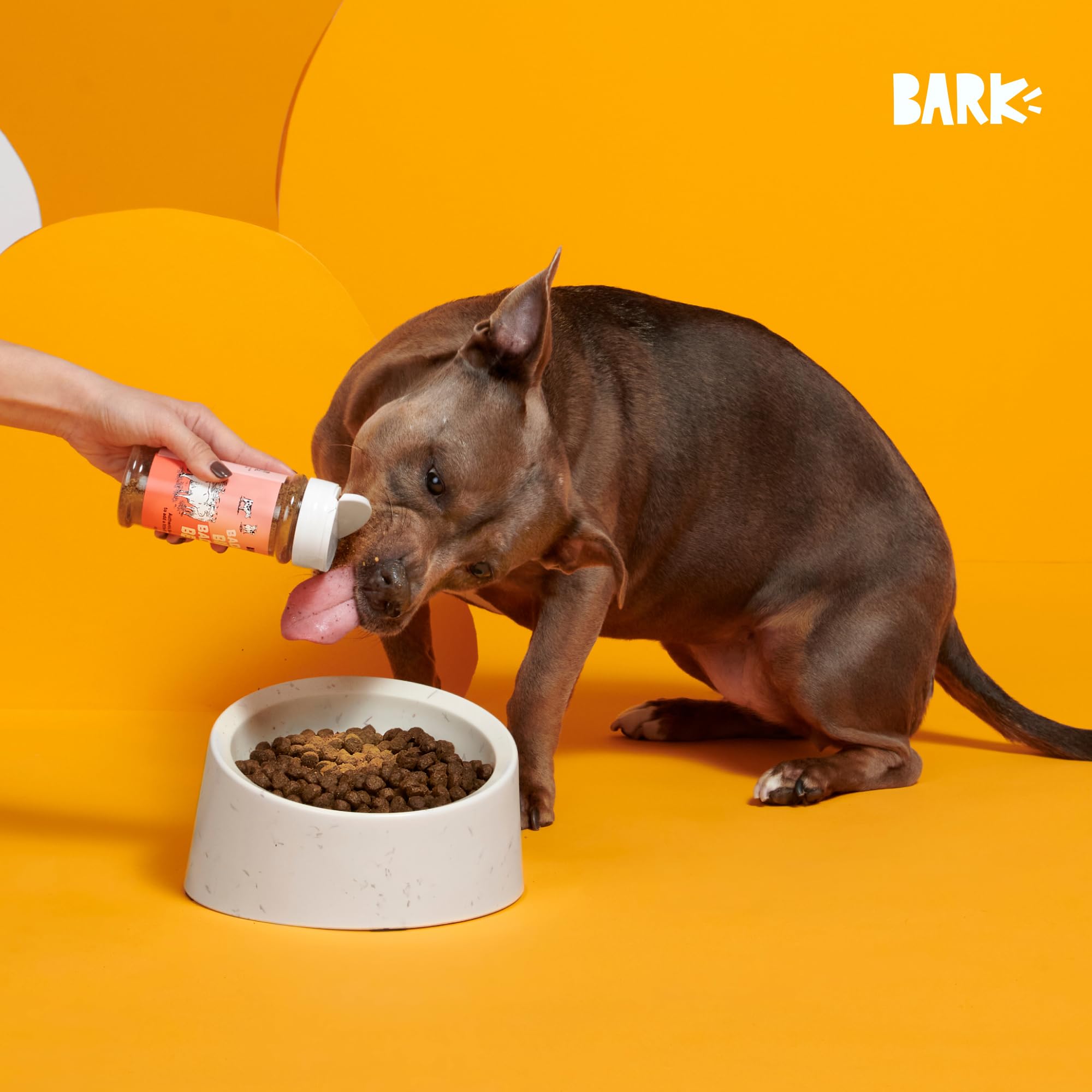 Barkbox Bada Bing Garniture de bœuf, emballage-logo prêt à l’emploi.