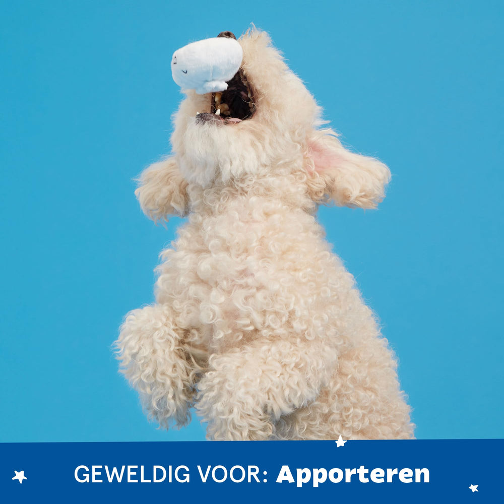 Barkbox balle siffleuse intérieure, effet sonore attractif pendant le jeu.