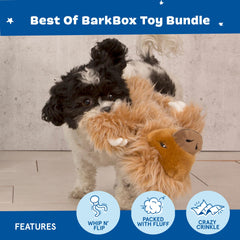 Dingbert le dragon BarkBox, ailes crinkly et siffleur pour activités.