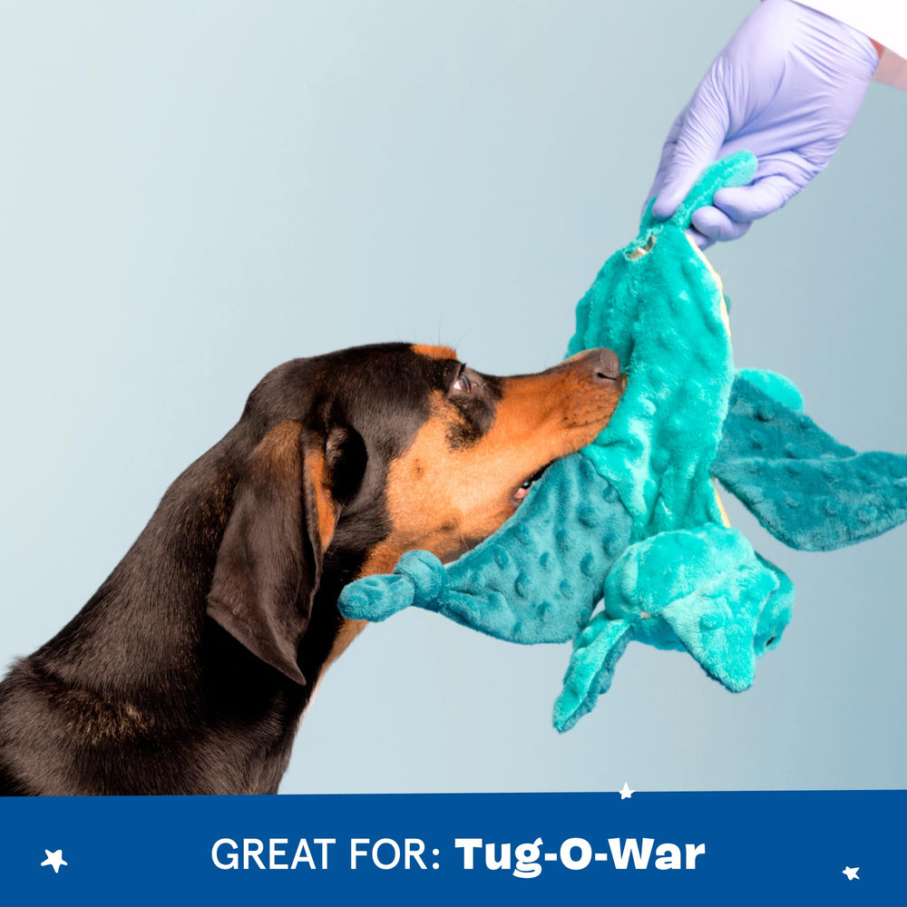 Ollie la pieuvre BarkBox, balle épineuse interne pour rapporter le jouet.
