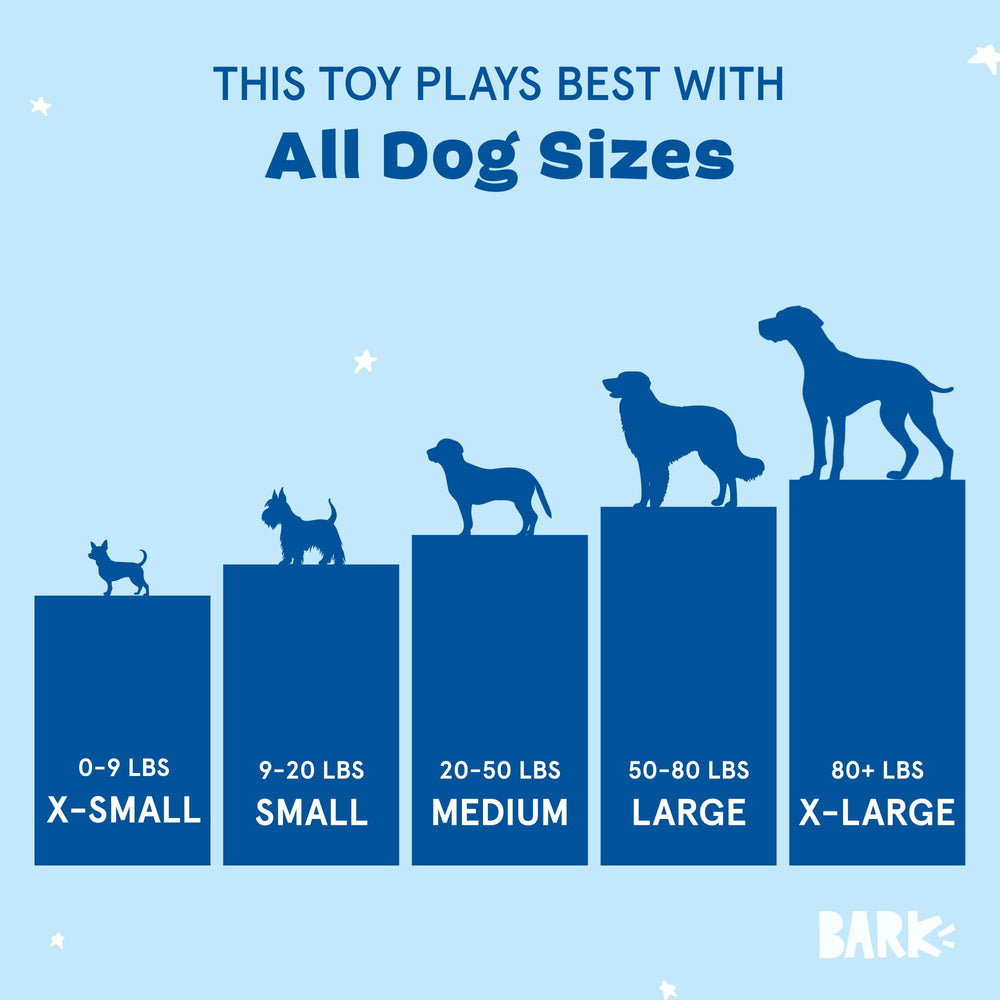 Ollie la pieuvre BarkBox, tentacules remuantes pour tiraillement.