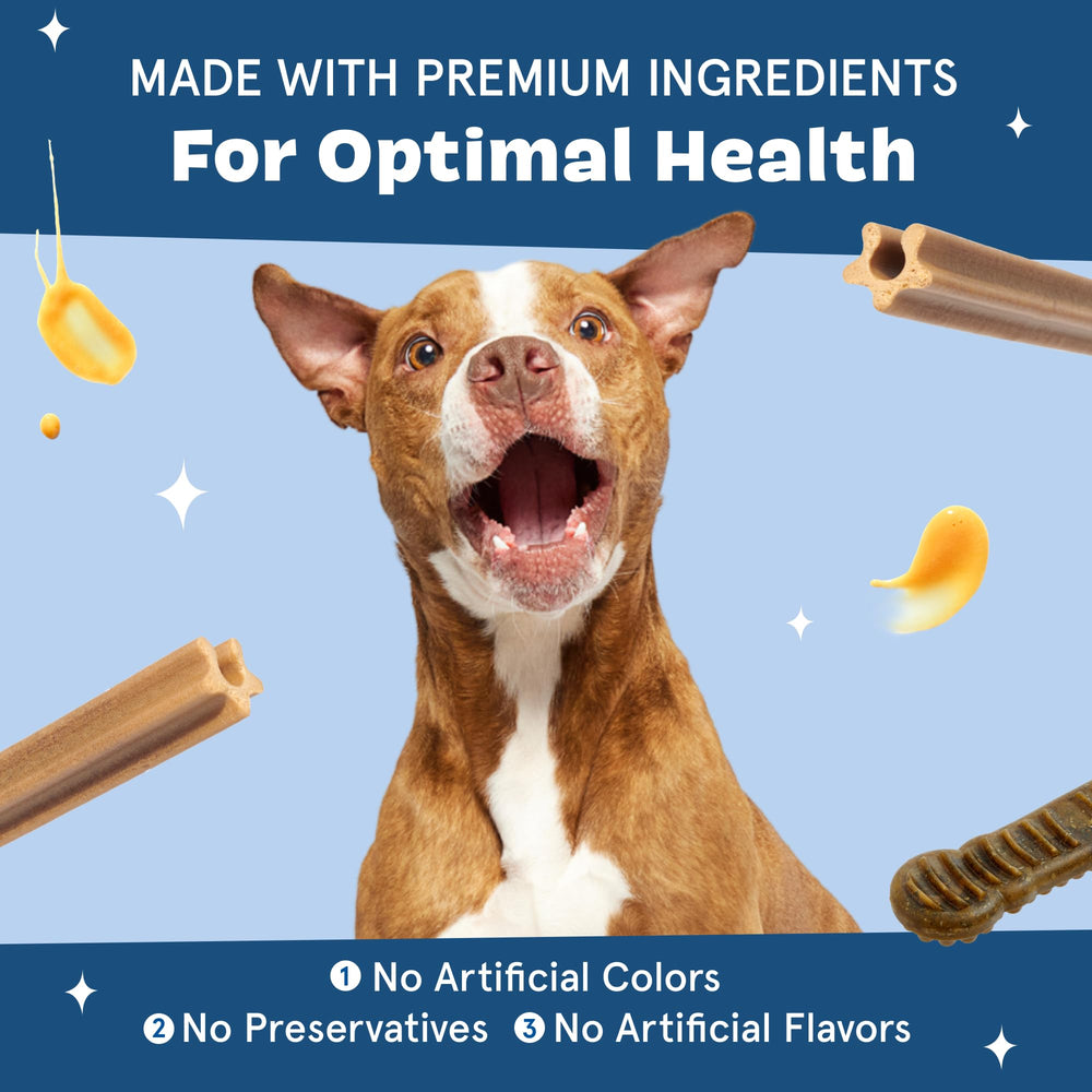 BARKBOX Bright bâton dentaire : routine quotidienne simple pour chiens.