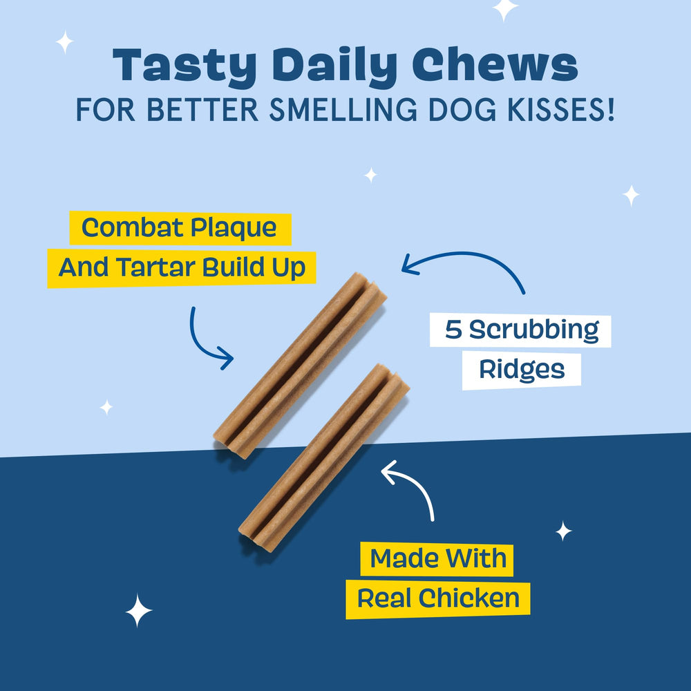 Barkbox Bright baton dentaires avec rainures profondes pour brosser les dents.