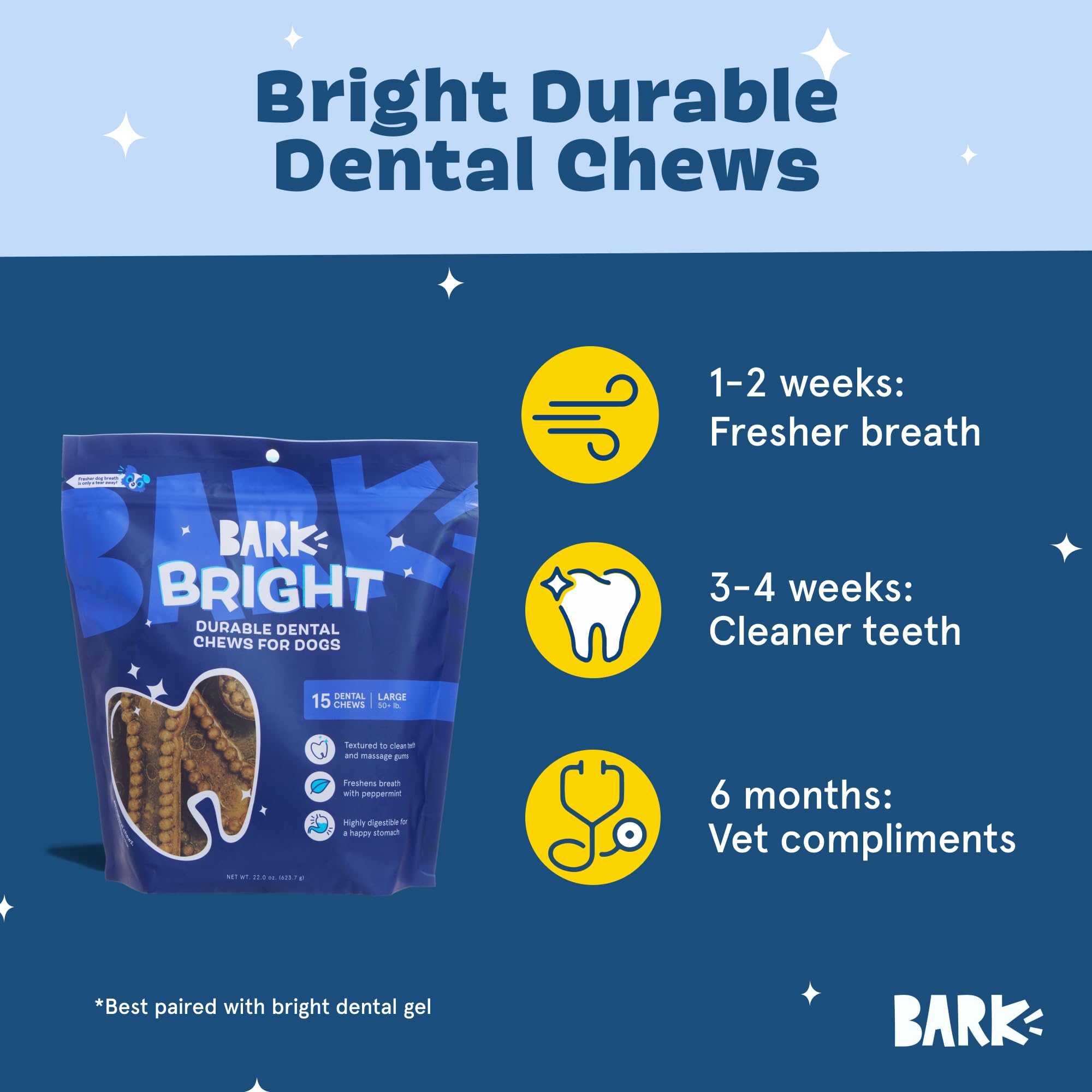 BARKBOX Bright: chien en train de mastiquer, démontrant la durabilité.