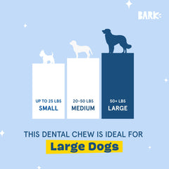 BARKBOX Bright: massage des gencives lors de la mastication.