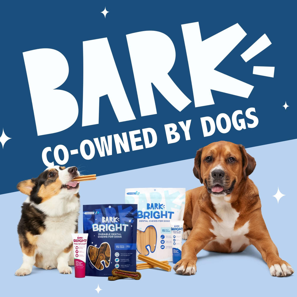 BarkBox Bright haleine plus fraîche après l’utilisation quotidienne.
