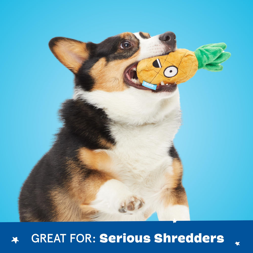 BarkBox cadeau idéal pour chien, parfait pour anniversaires et fêtes