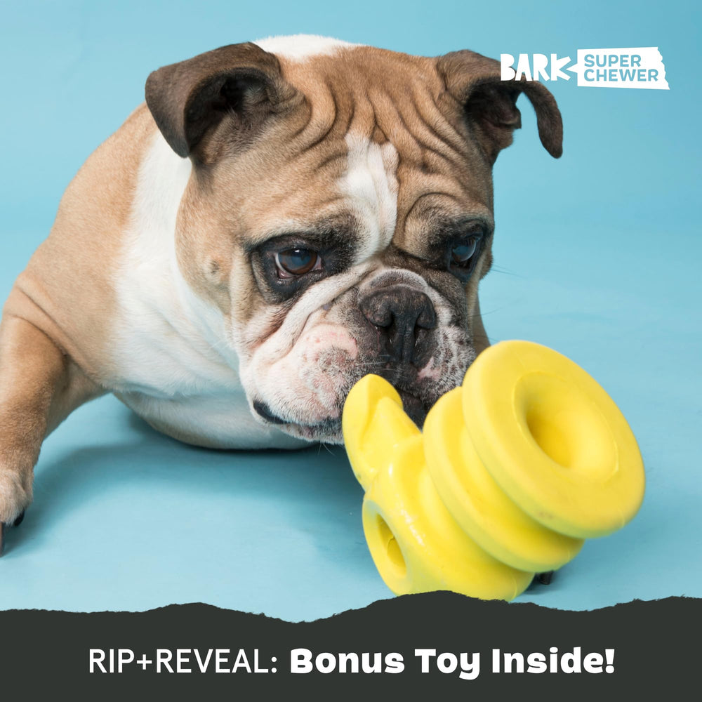 BARKBOX Capitaine Perroquet : design multicouche durable offrant diversité de textures.