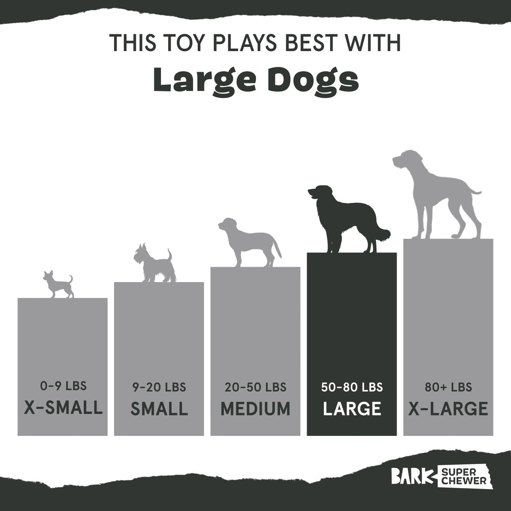 BARKBOX Capitaine Perroquet : jouet grand format pour chiens de grande taille.