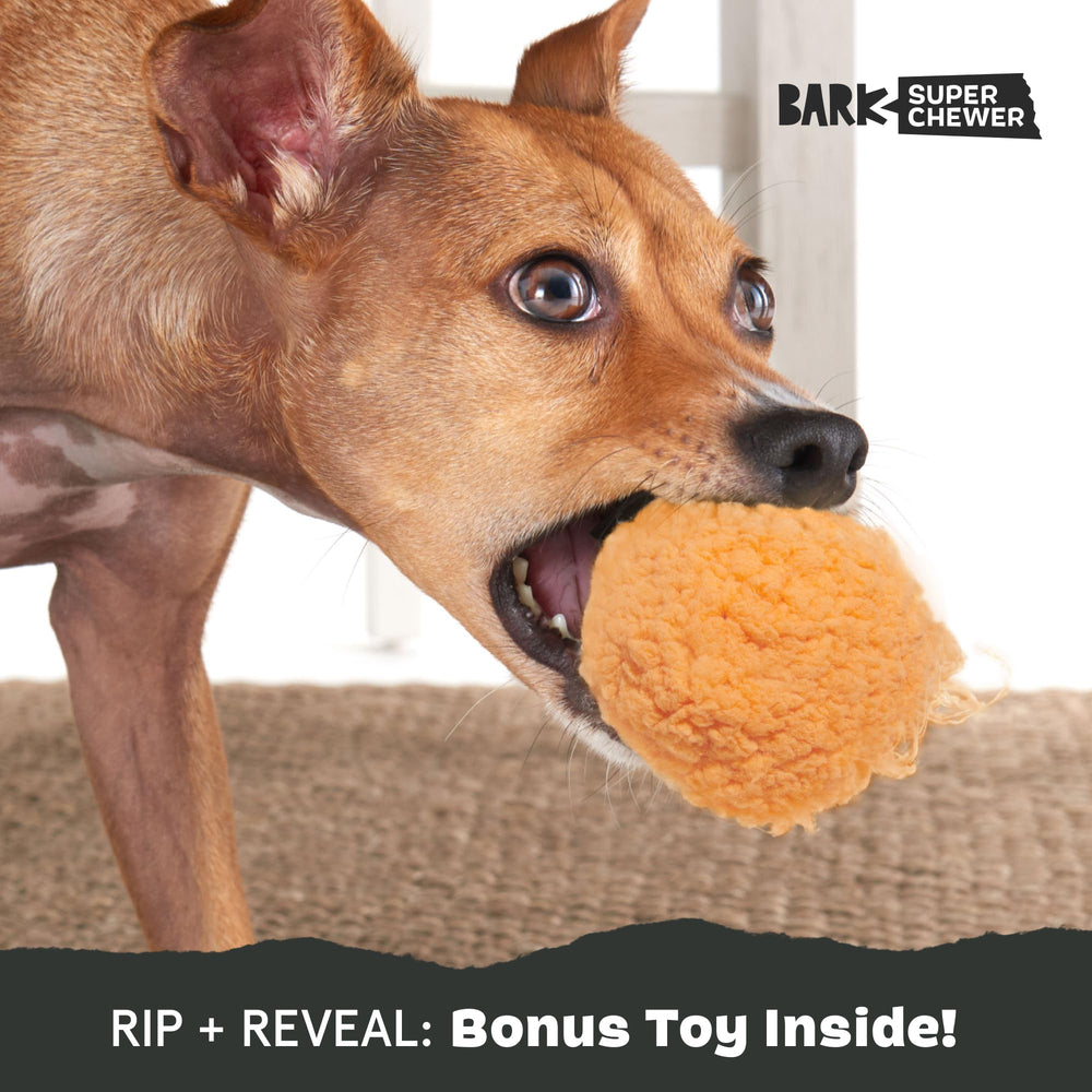 Cheeze Brawl Barkbox, design à déchirure prolongeant le plaisir.