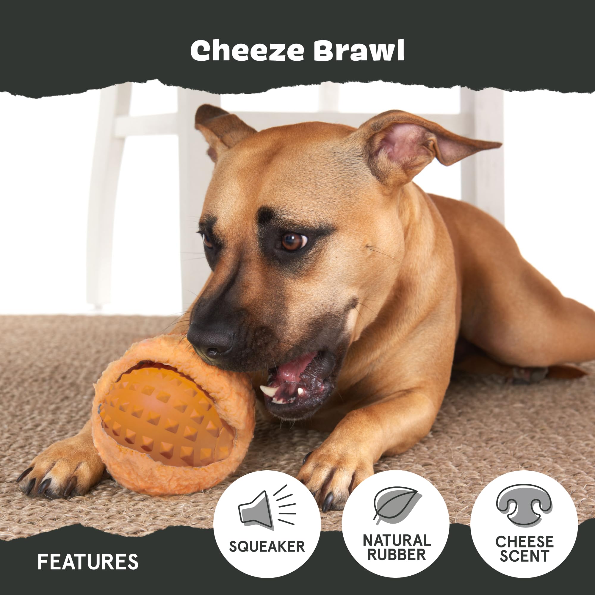 Cheeze Brawl Barkbox, parfum fromage pour attirer et engager votre chien.