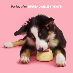 BarkBox Cinamutt Roll, design unique prolonge le temps de jeu.