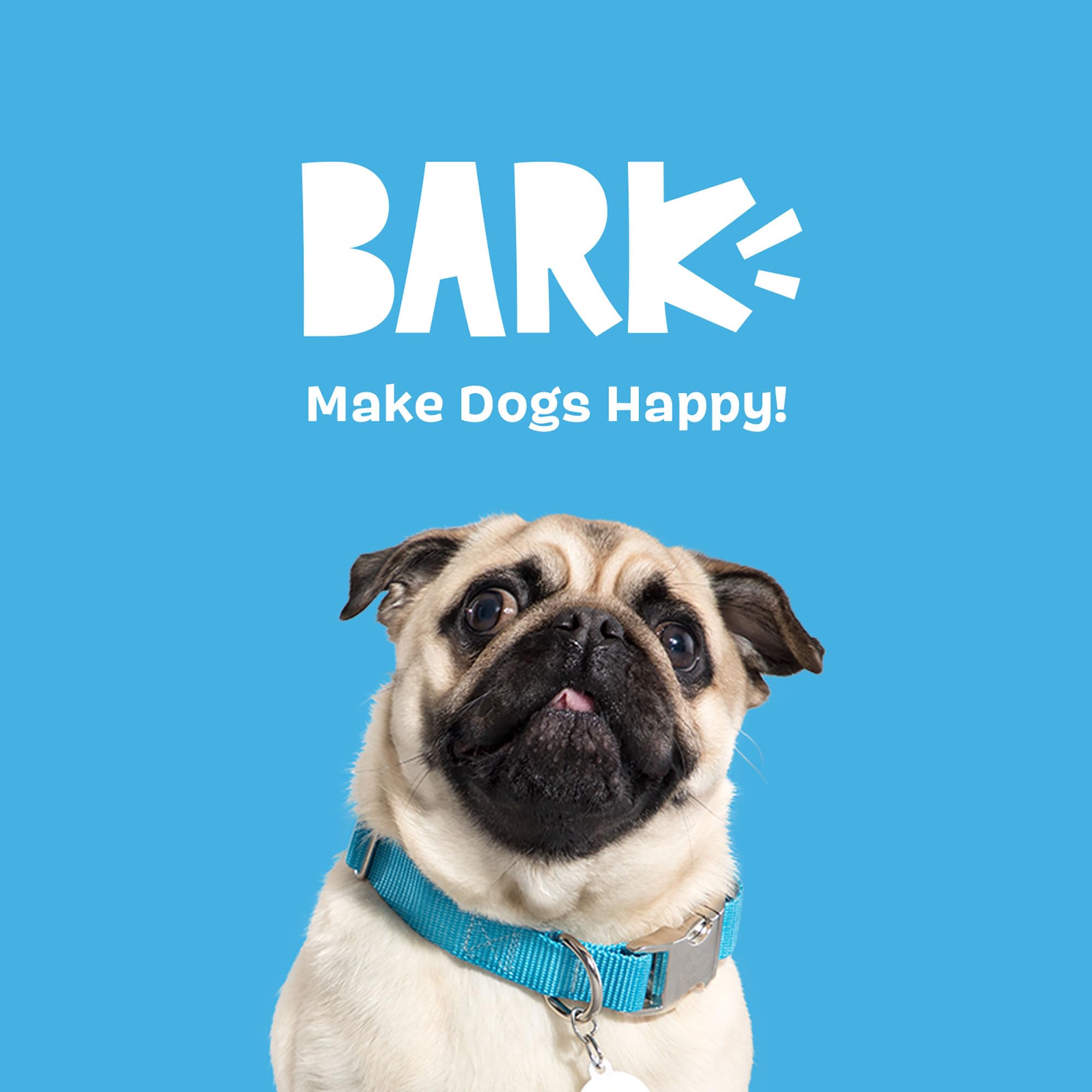 BarkBox Cinamutt Roll, parfait pour le lancer et les jeux de poursuite.