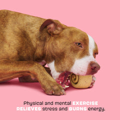 BarkBox Cinamutt Roll avec rainures pour insérer des friandises et stimuler.
