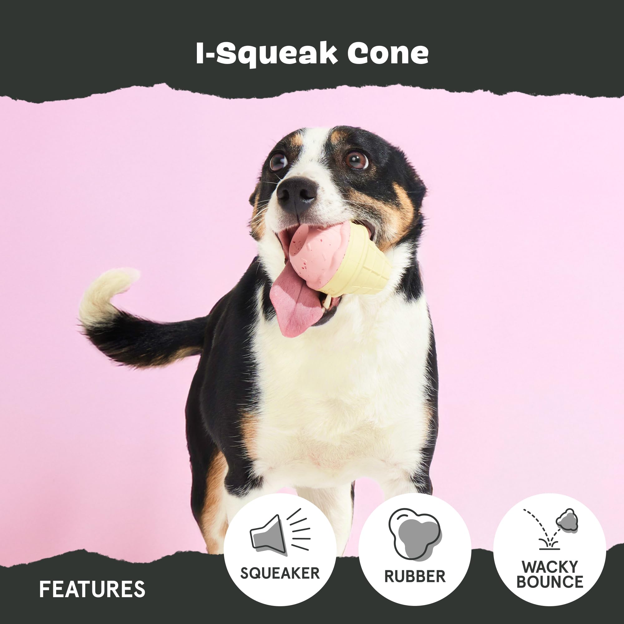 BarkBox Cone rainures beurre arachide, parfait pour varier les friandises lors du jeu.