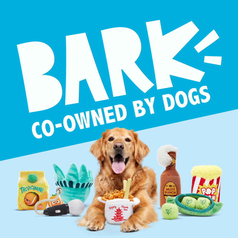 Adapté aux chiens de toutes tailles, Consuela Cactus Pop BarkBox offre stimulation sensorielle variée.