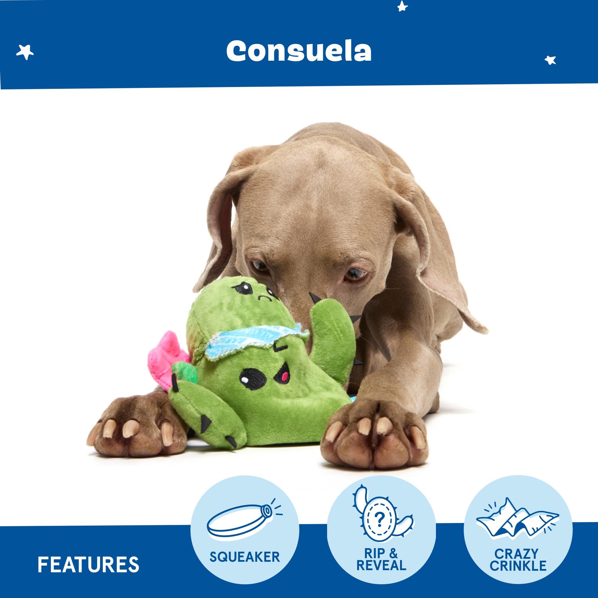 Jouet Barkbox Consuela le Cactus équipé d'un couineur pour des sessions dynamiques.