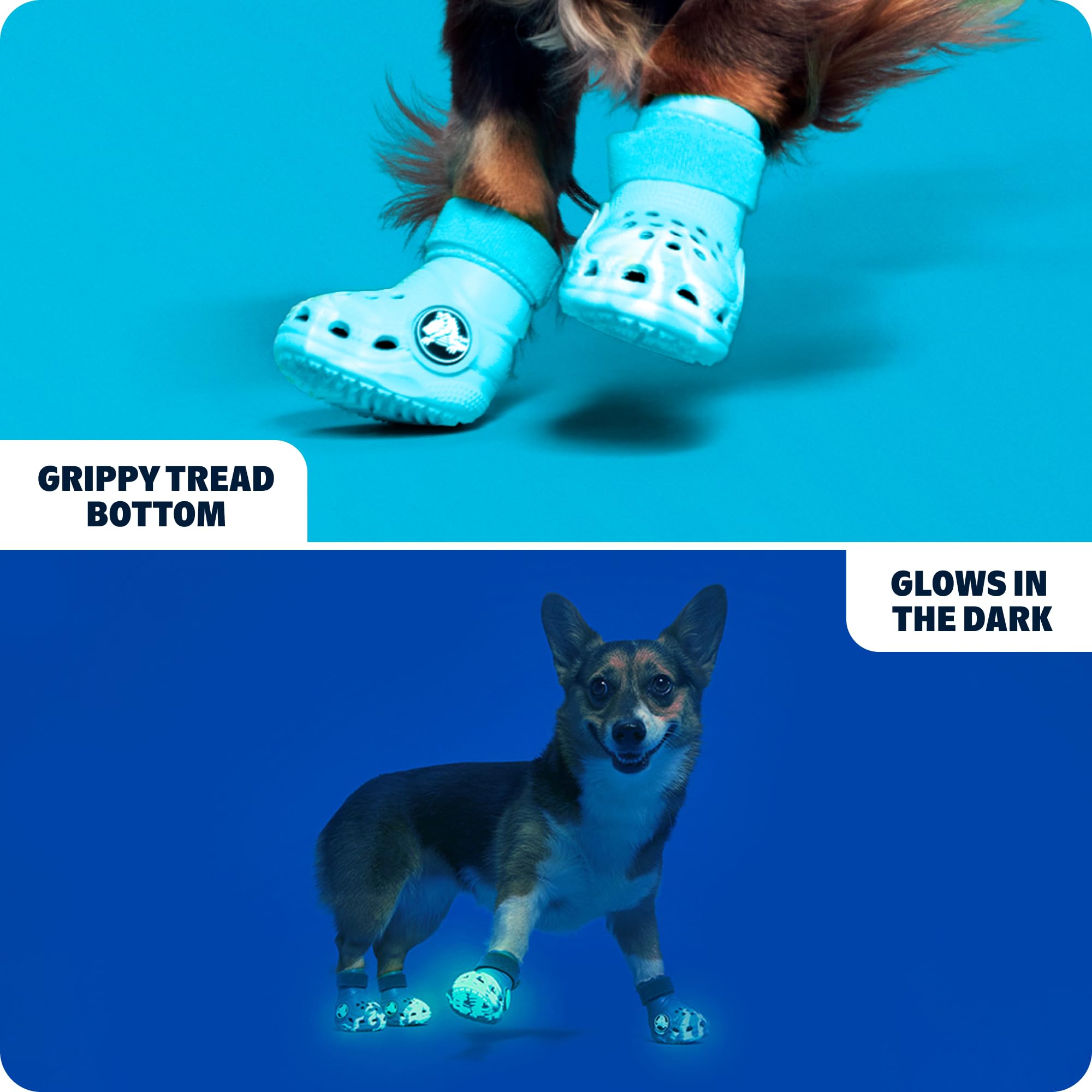 BarkBox Aqua Crocs chien – Bottes ajustables assurant un maintien confortable.
