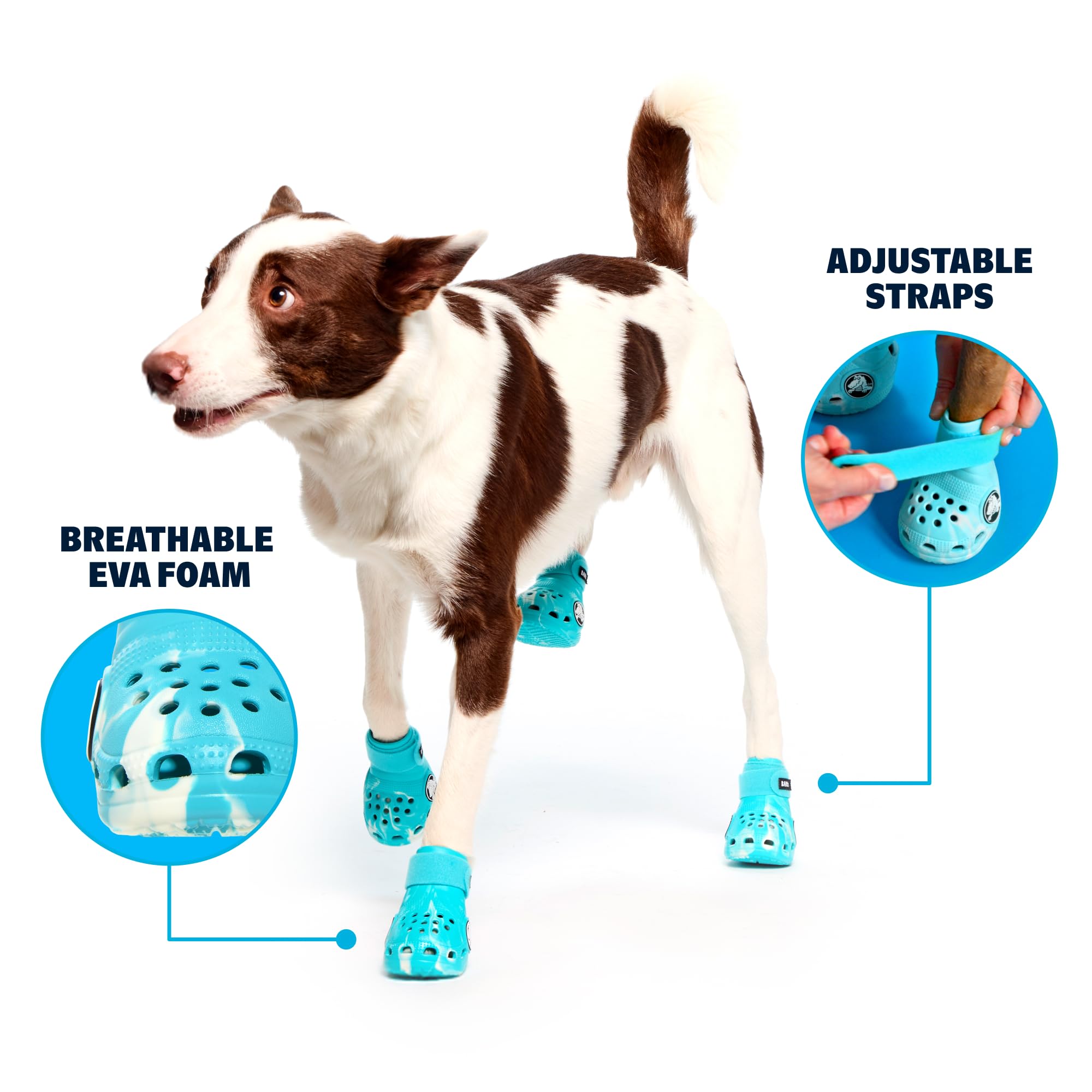 BarkBox Aqua Crocs chien – Bottes antidérapantes pour une marche sûre sur surfaces variées.