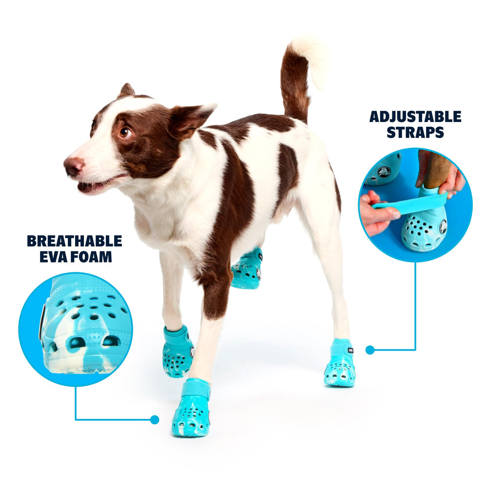 BarkBox Aqua Crocs chien – Bottes antidérapantes pour une marche sûre sur surfaces variées.
