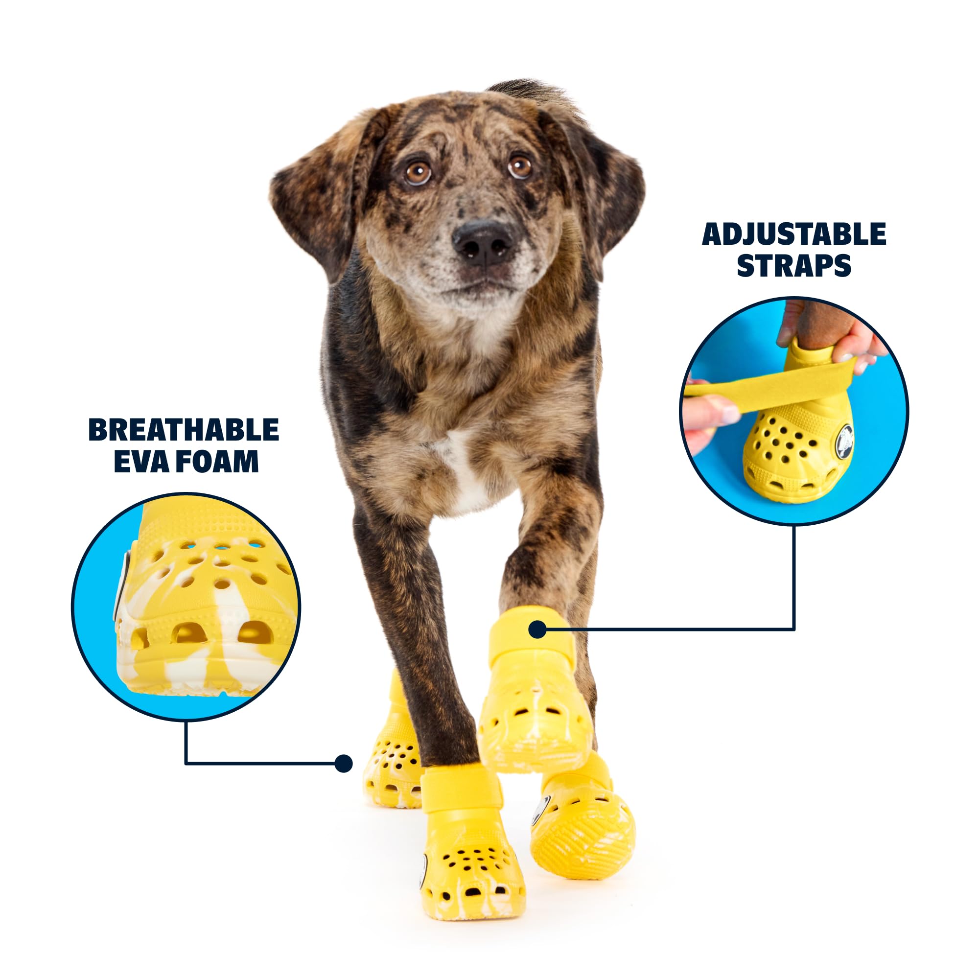 BarkBox crocs chien jaune, sangle reglable pour un ajustement sûr.