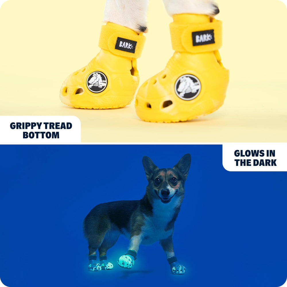 BarkBox crocs chien jaune, semelle antidérapante pour surfaces variées.