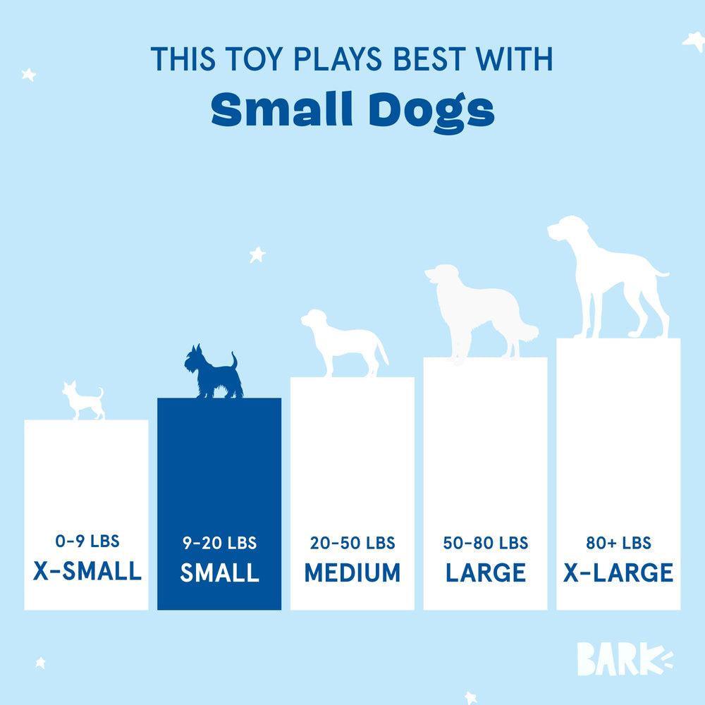 BarkBox design interactif, divertit les chiens et encourage l'exploration