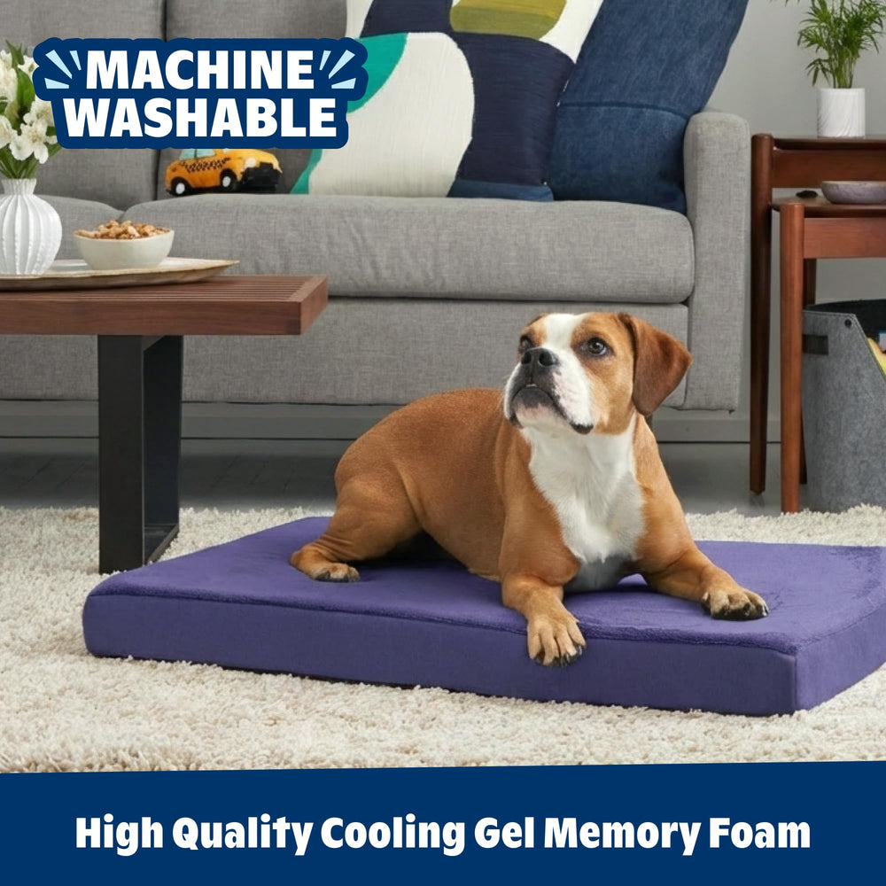 Grand lit Barkbox 35x22x3, adapté aux grandes races et seniors.