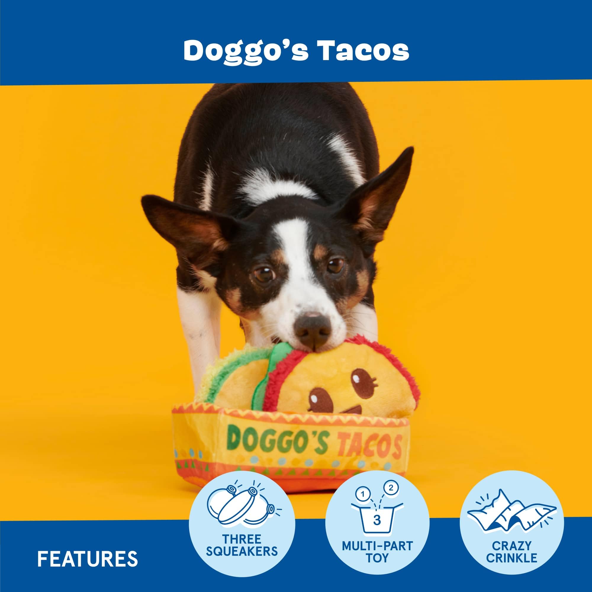 Barkbox Doggo's Tacos tacos à sifflement pour sessions de jeu.