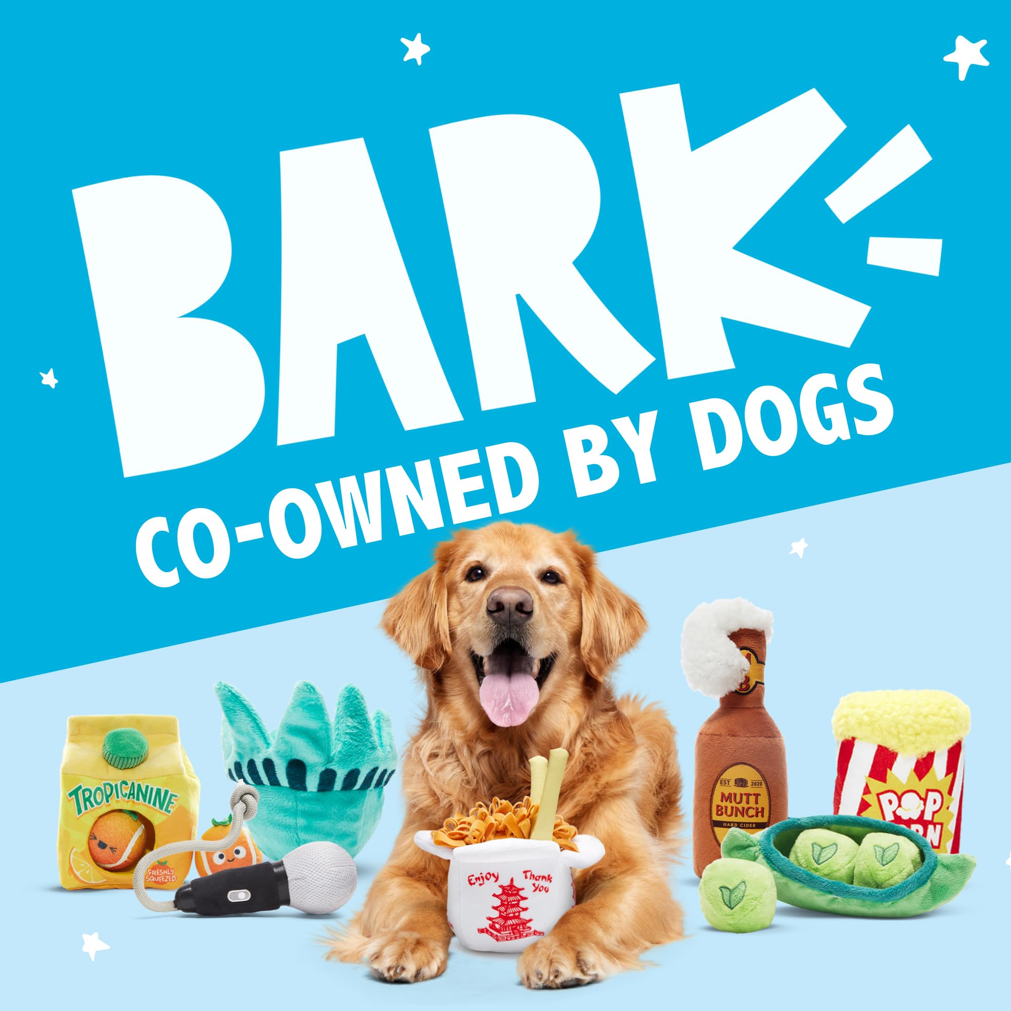 BarkBox emballage soigné et prise en main facile.