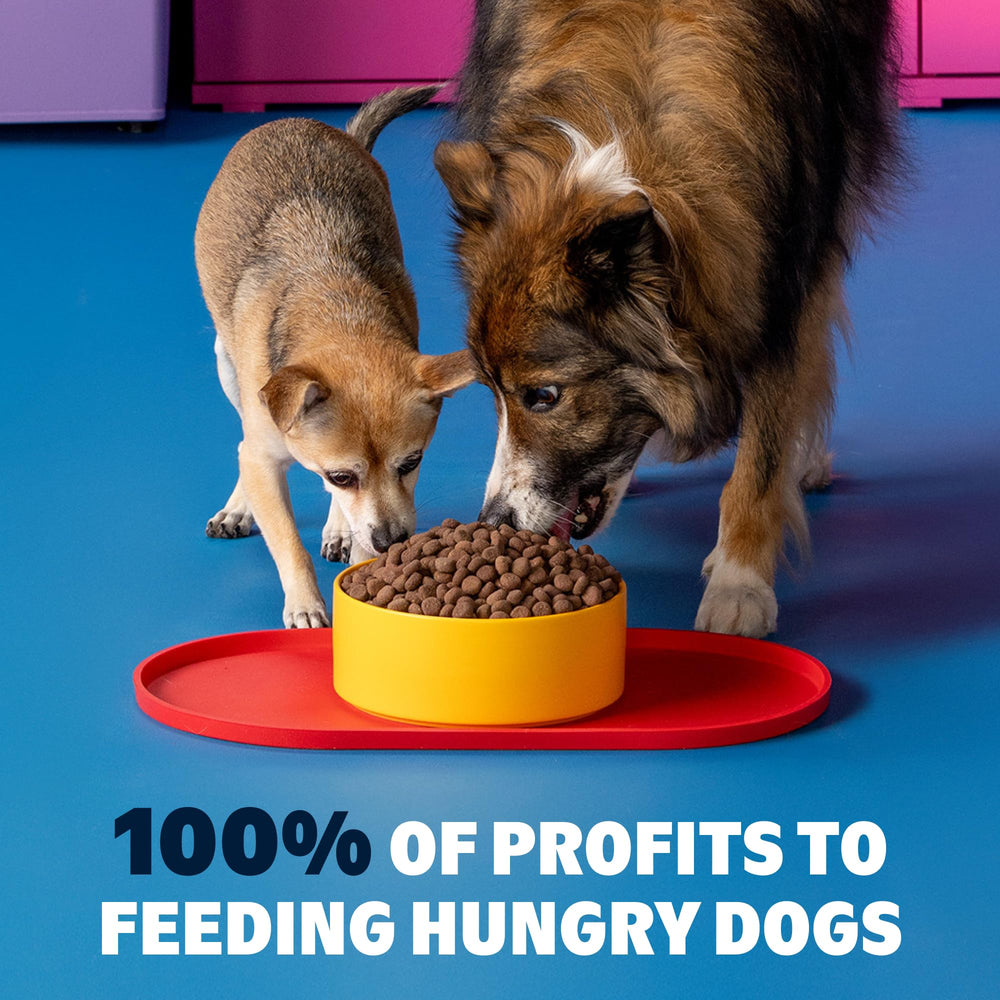 Engagement: 100% des profits reversés aux chiens.