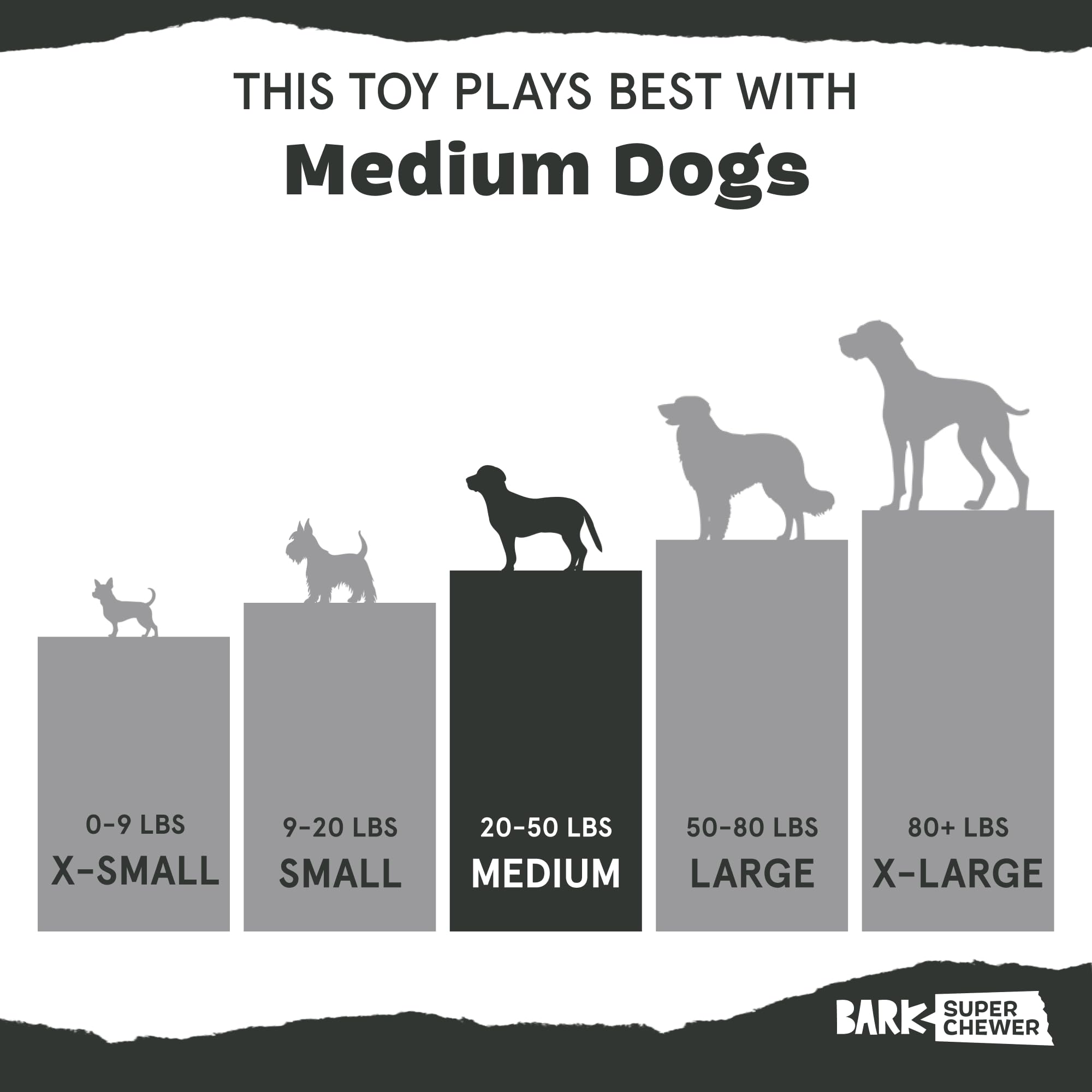 BarkBox Franz le Renard: compatible lave-vaisselle pour un entretien rapide.