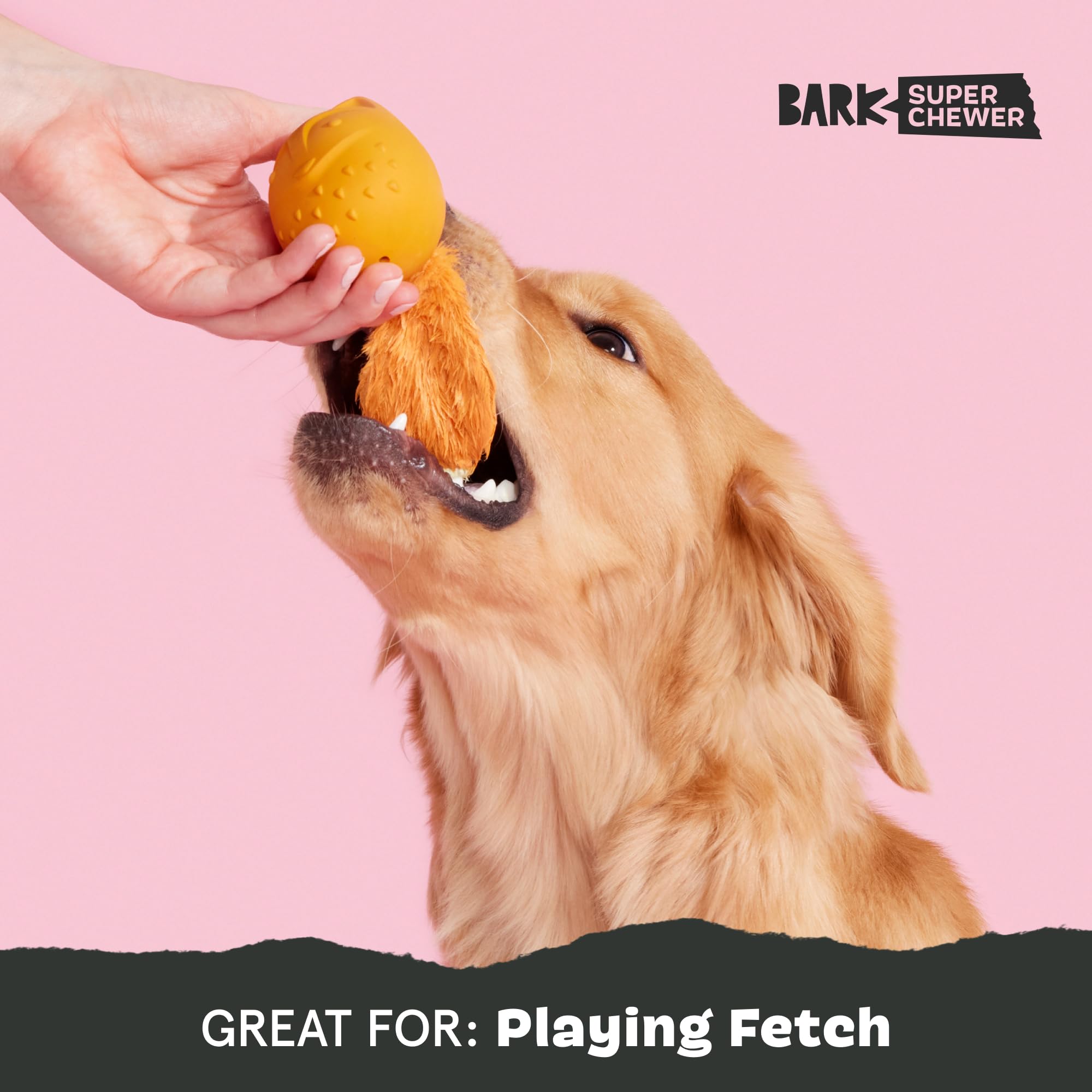 BarkBox Franz le Renard: nettoyage simple et pratique.