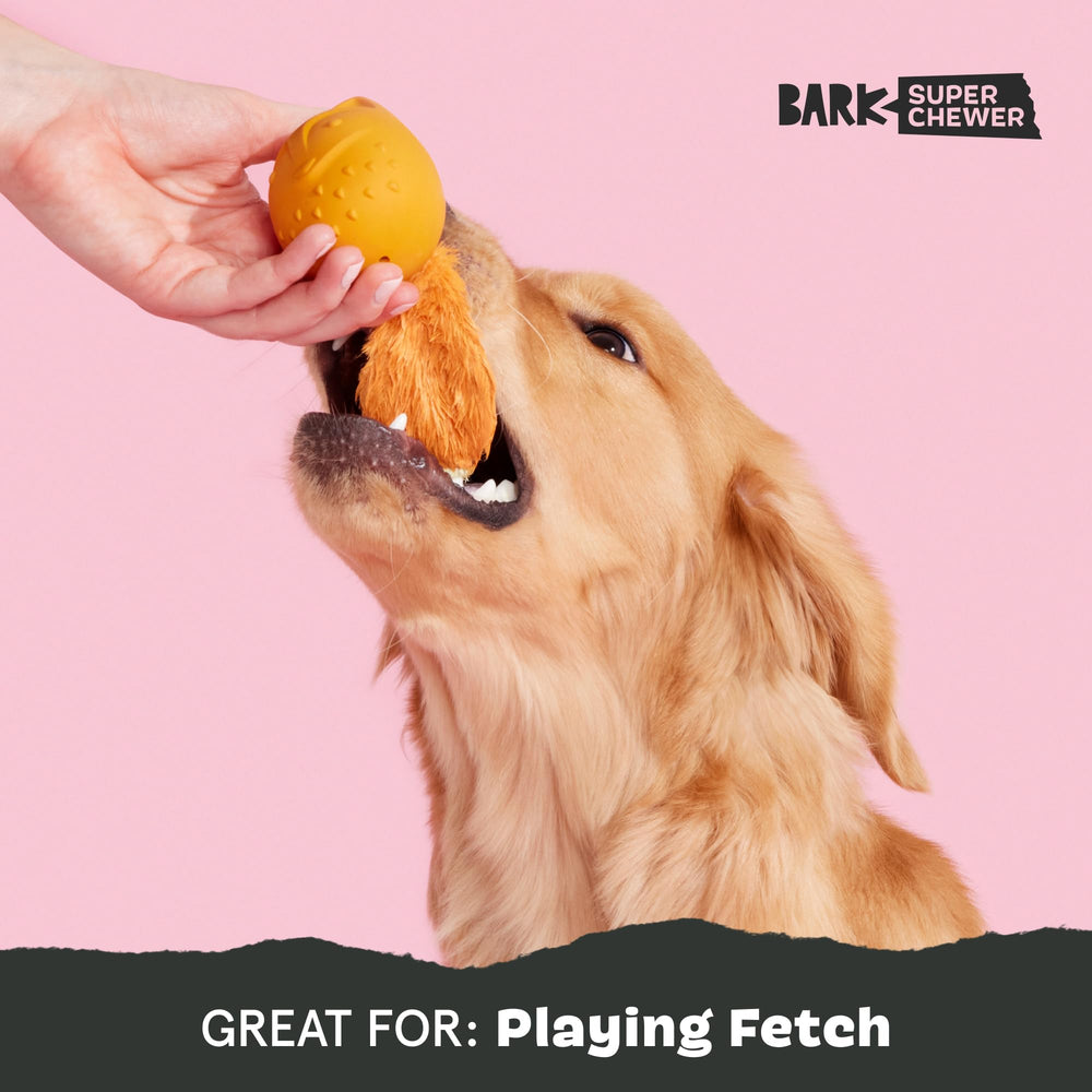 BarkBox Franz le Renard: nettoyage simple et pratique.