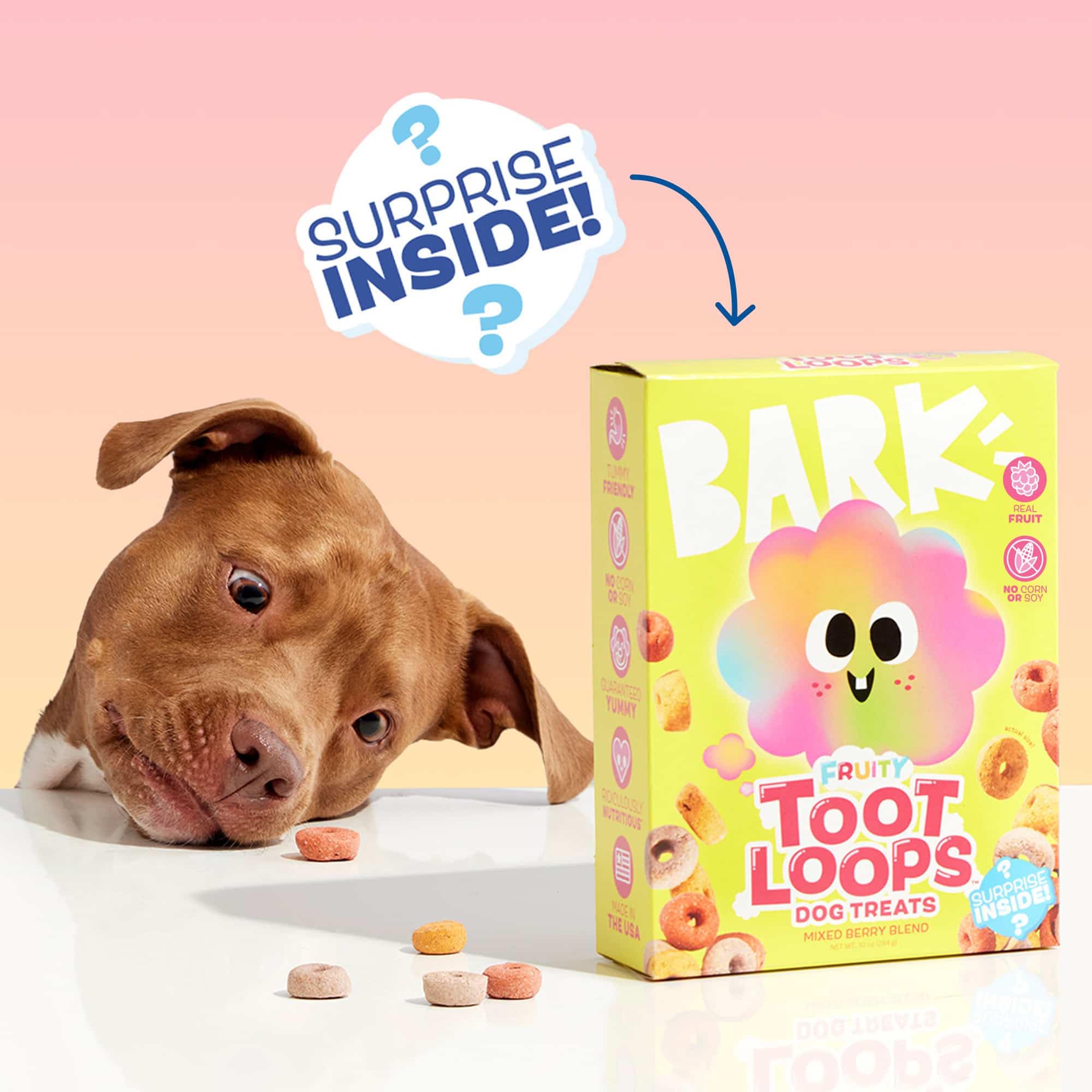 Barkbox Fruity Toot Loops : chien content après chaque friandise pendant l'entraînement