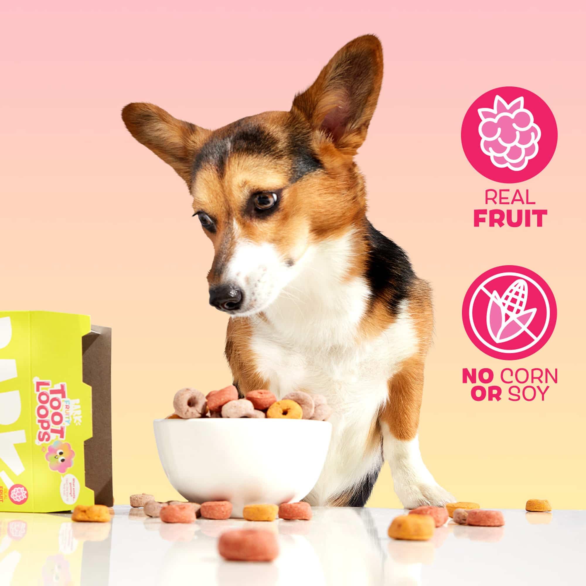 Barkbox Fruity Toot Loops : friandises savoureuses pour récompenser votre chien
