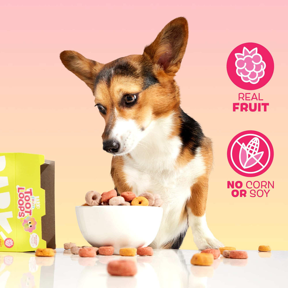 Barkbox Fruity Toot Loops : friandises savoureuses pour récompenser votre chien
