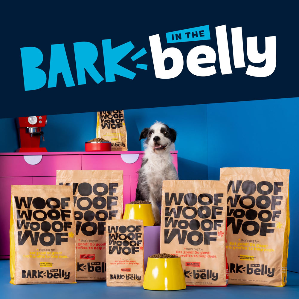 Barkbox garniture-variete-repas : apporte variété simple et délicieuse sans changer de croquettes.
