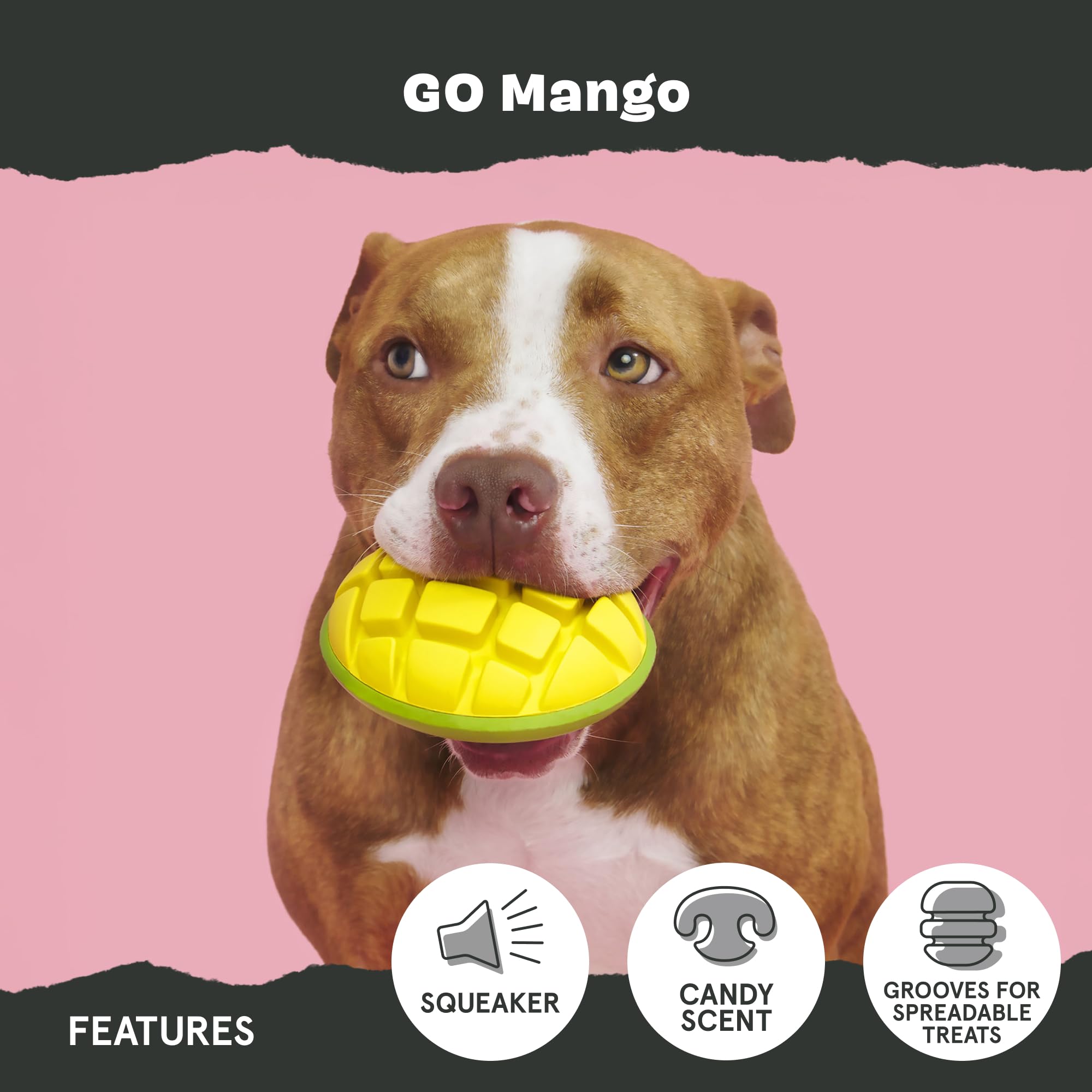 Go Mango dégage une odeur sucrée attirante.