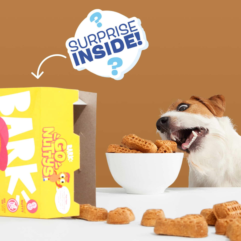 Barkbox Go Nutty propose des collations savoureuses et équilibrées pour les chiens