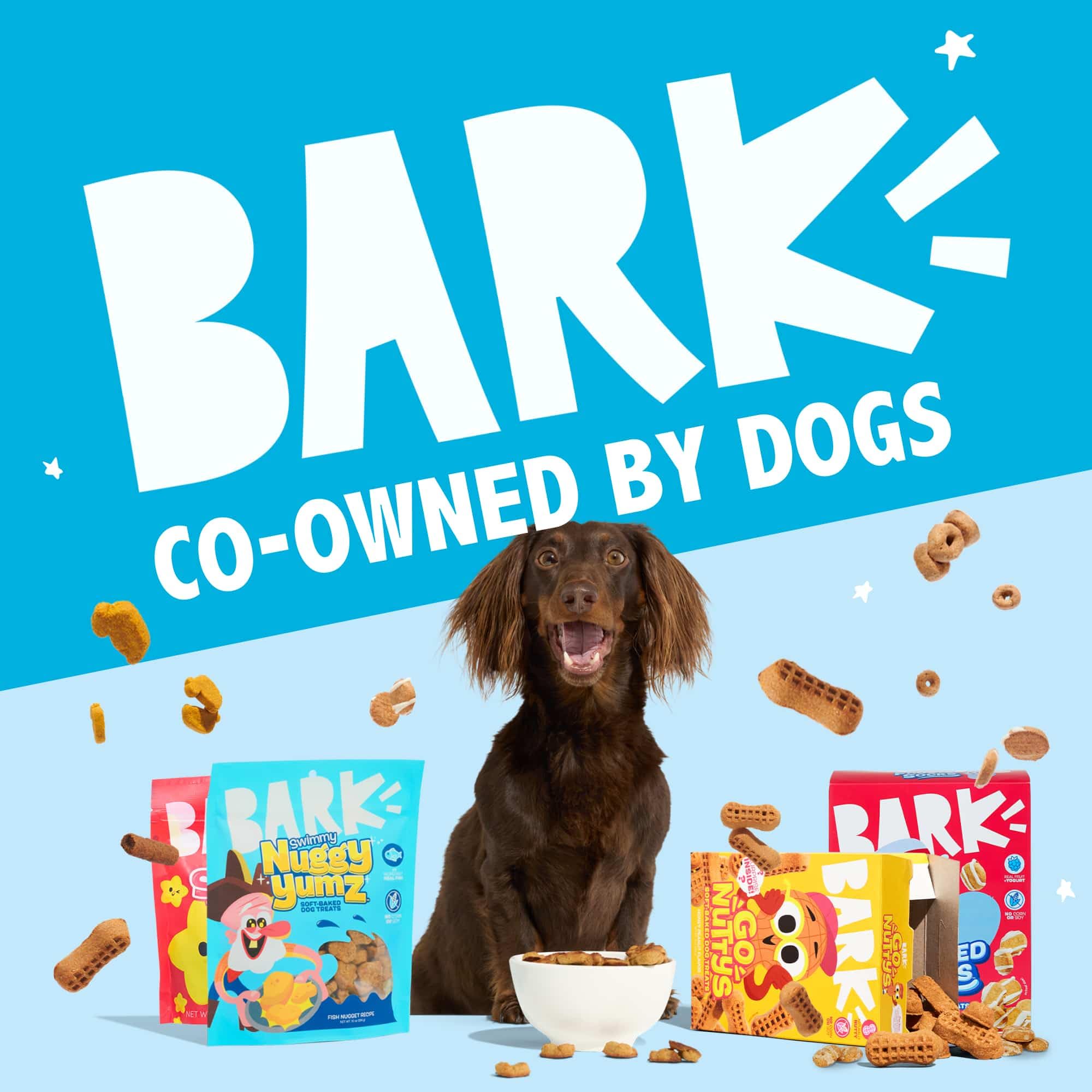 Gourmandise Barkbox au boeuf, parfaite pour récompenser pendant le jeu.