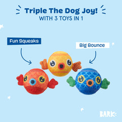 Barkbox Guppies Trio avec ailette d’agrippement facilitant la prise