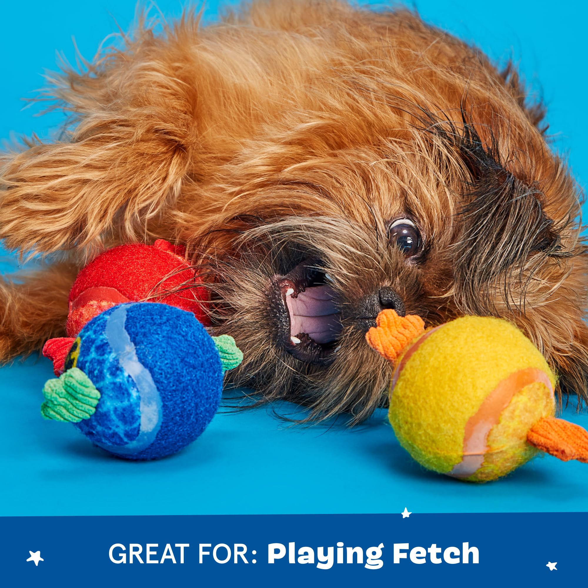 Barkbox Guppies Trio, mordillages durables pour jeux actifs