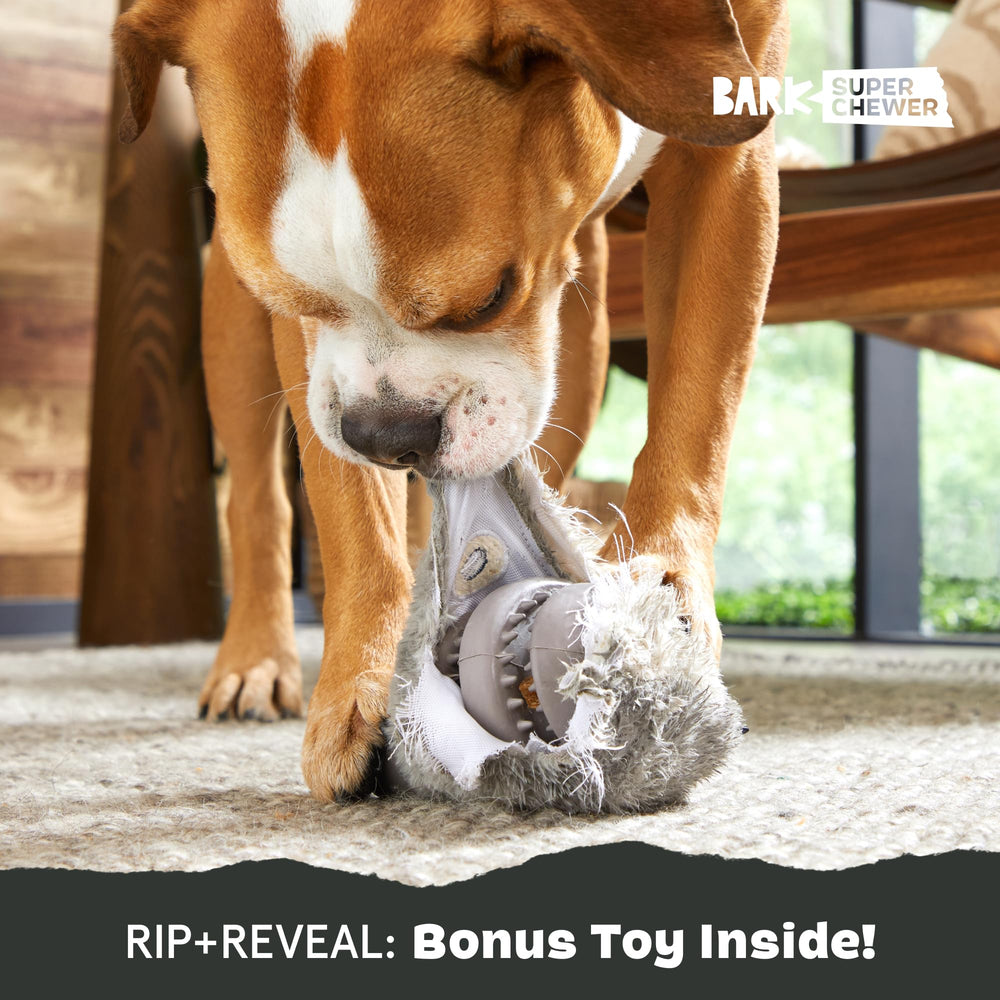 BarkBox Hare Raiser, design unique prolongeant l’engagement du chien