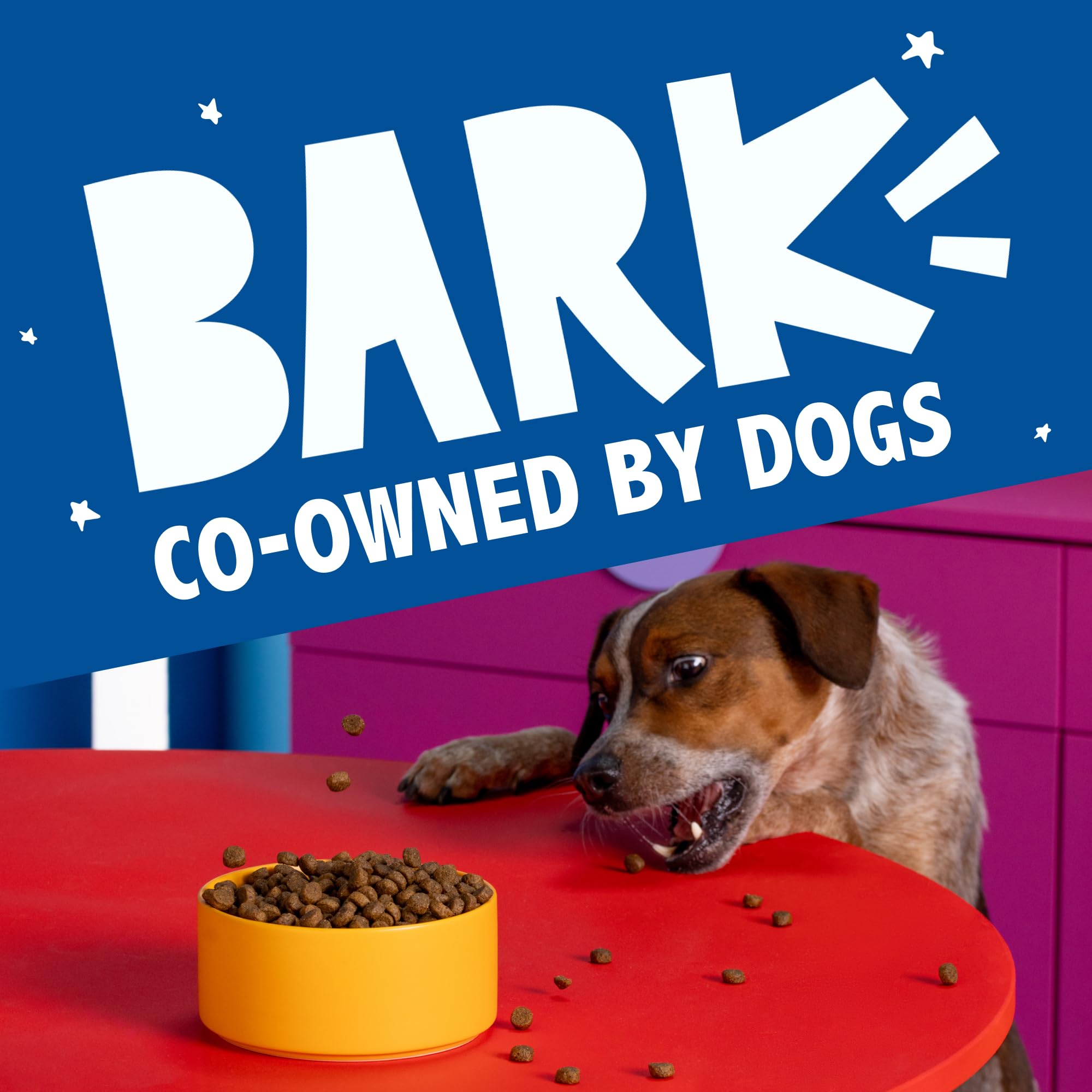 Dégustation garantie: chien heureux après le repas.