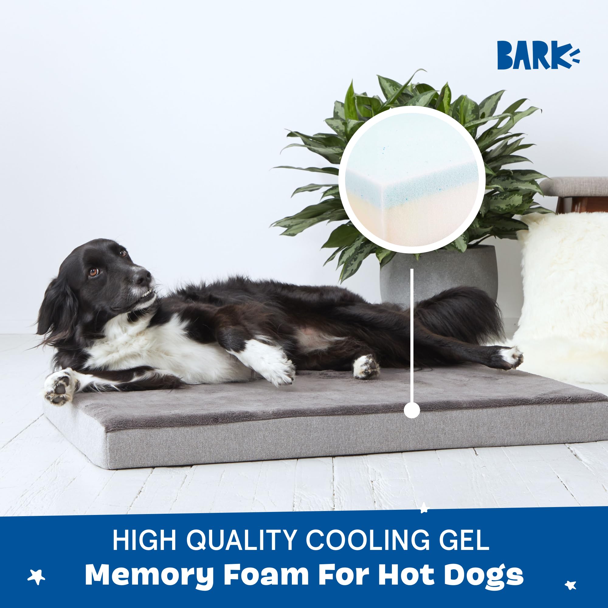 Design gris moderne BarkBox s’intègre au décor.