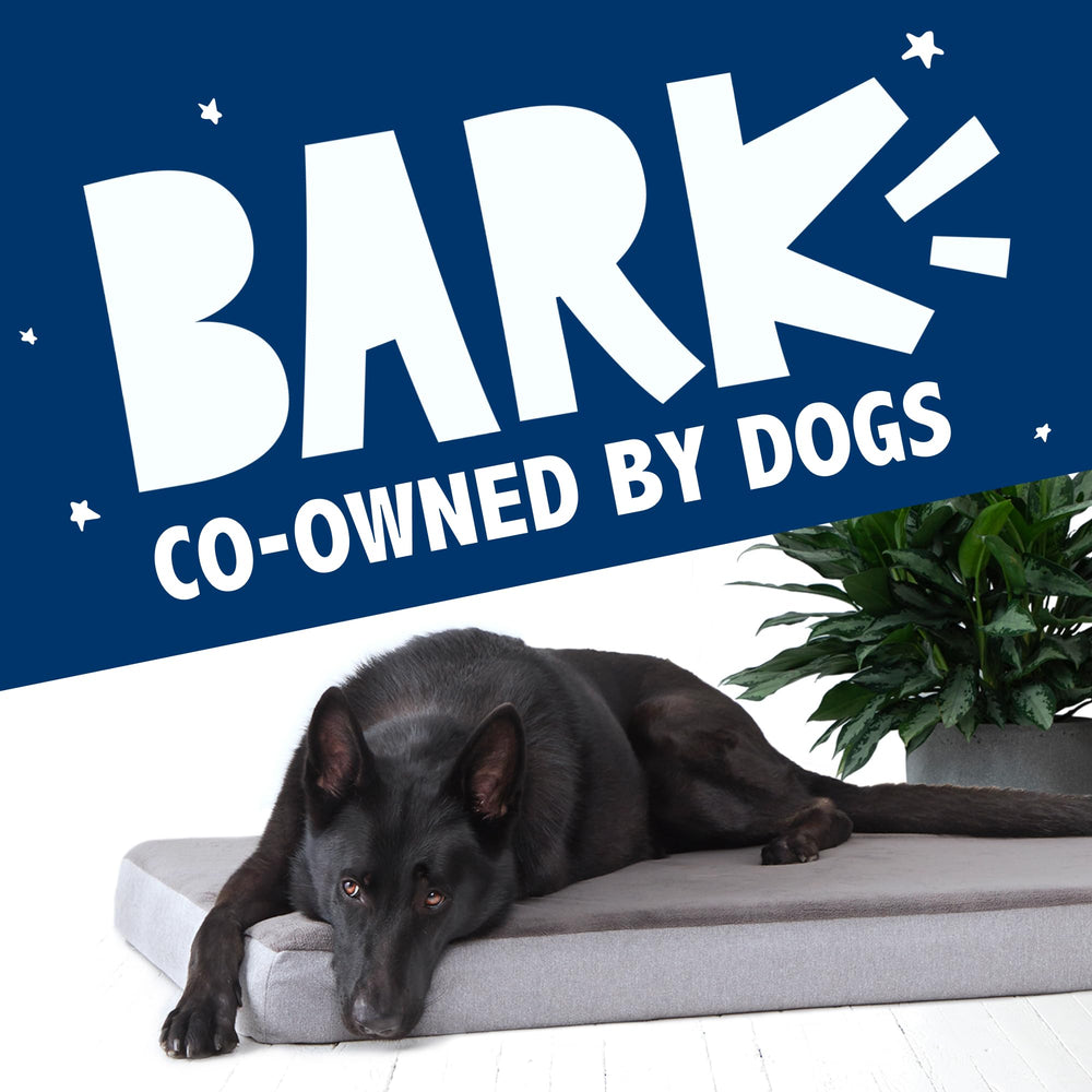 Entretien rapide BarkBox – housse lavable pour un nettoyage facile.