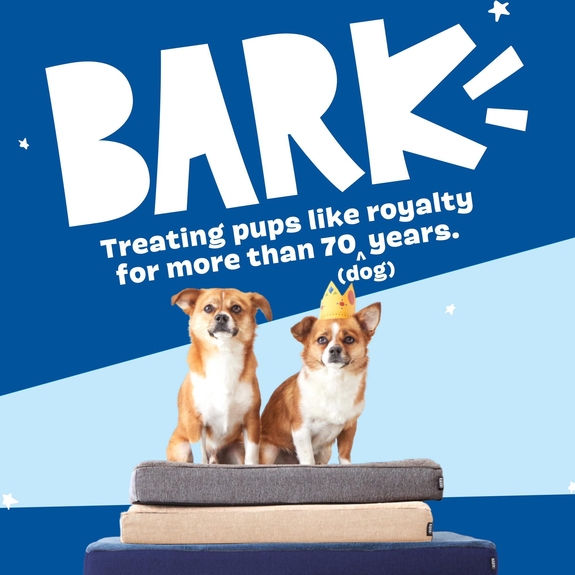 Grand lit BarkBox 35x22x3 pouces – espace pour grands chiens.