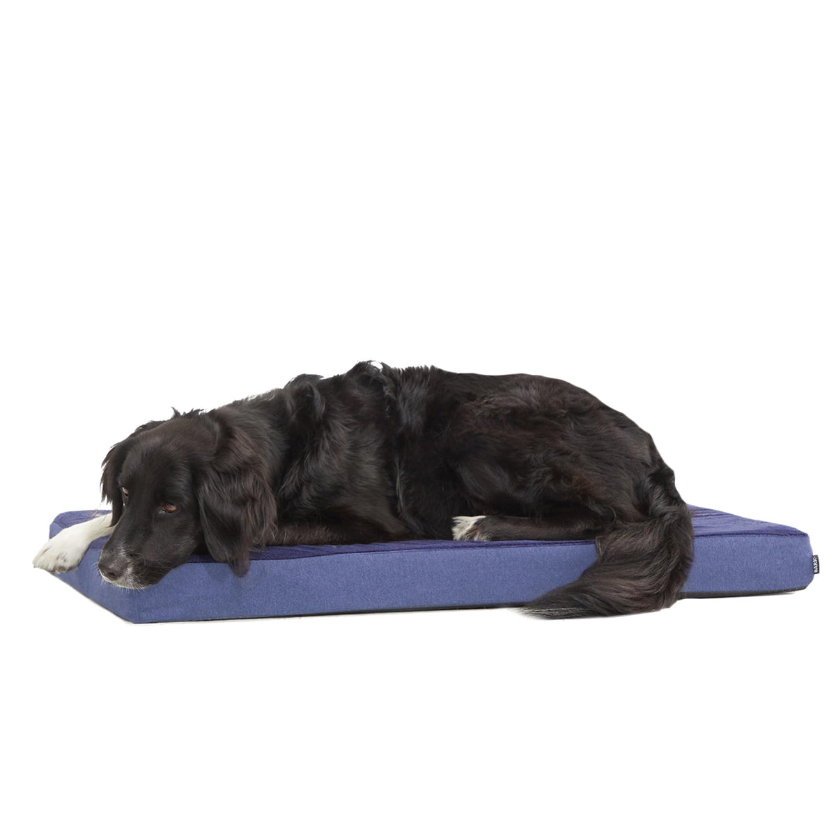 Lit orthopédique Barkbox avec mousse à mémoire offrant un soutien ciblé pour chiens et chiots.
